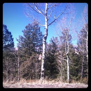 Meet your Posher, David ale